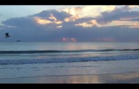 Walk The Byron Coast – Part 1