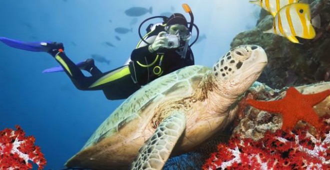Dive Byron Bay