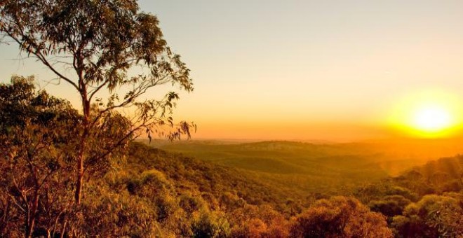 Byron Bay Eco Tours