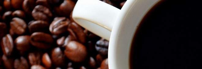 Best Kept Secret: Byron Bay’s Hinterland Produces Amazing Coffee