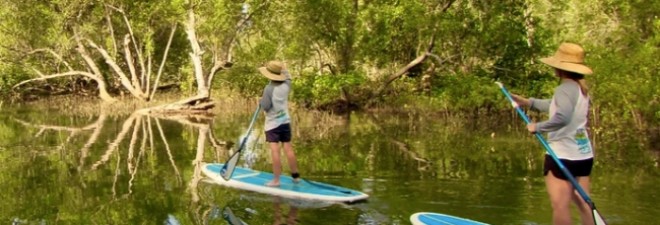 Guide to Stand Up Paddleboarding in Byron Bay