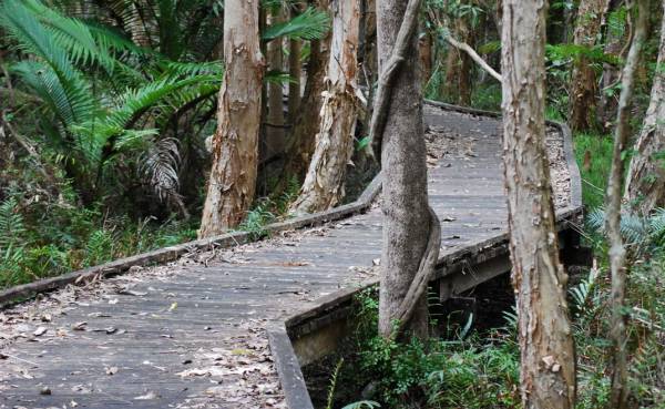 Cumbebin Wetland Sanctuary. Image source: simple-green-frugal-co-op.blogspot.co.nz