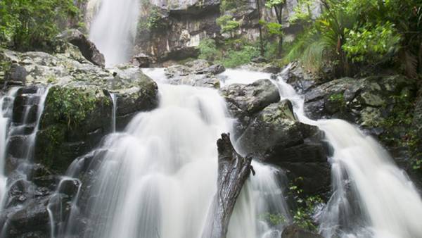 Stunning local waterfall. Image source: www.nationalparks.nsw.gov.au
