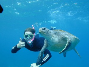 Photo courtesy of www.facebook.com/ByronDiveCentre