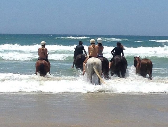 Pegasus horseriding in Byron Bay