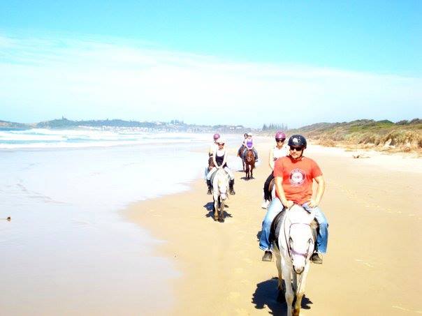 Seahorses - horse riding on the beach in Byron Bay