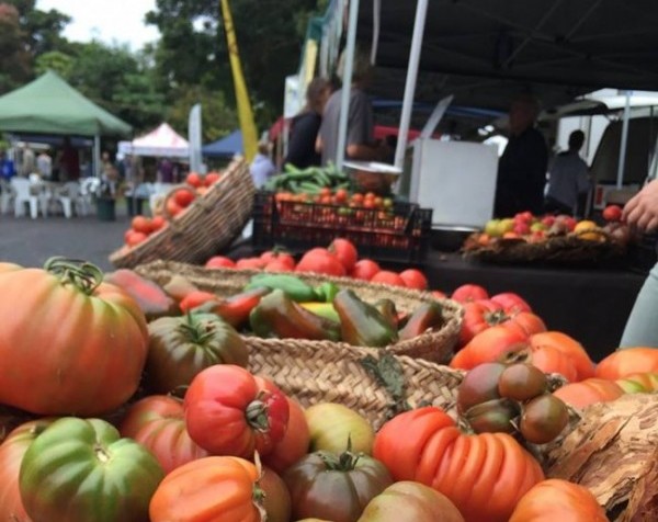 Byron Bay Food - Byron Bay Market