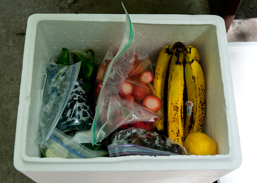 cooler-for-fruits-and-vegetables-1-of-1