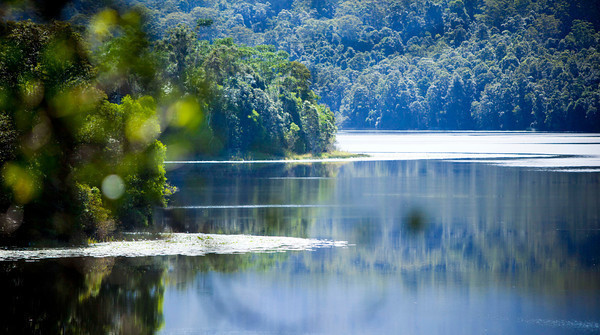 Rocky Creek Dam