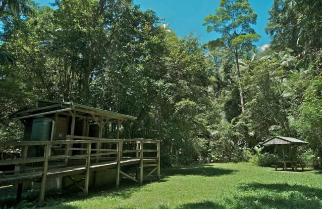 Terania Creek picnic area - National Parks NSW 