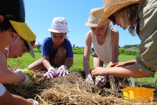 holiday activities at The Farm