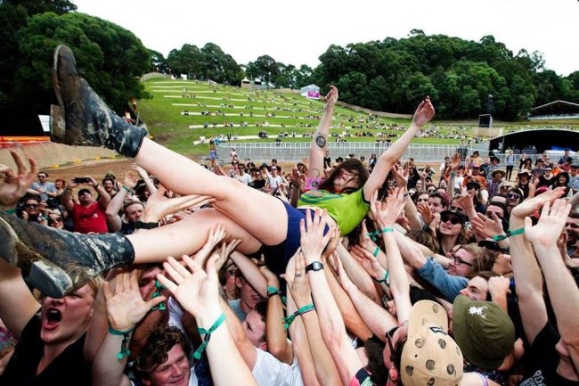 Splendour in the Grass