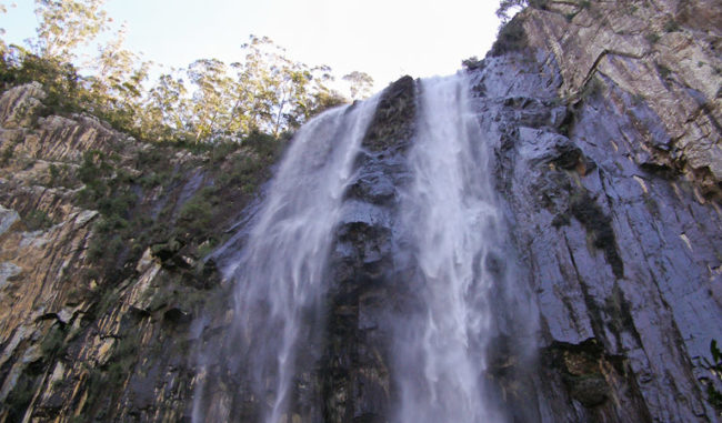 Hiking in Byron Bay - Minyon loop walking track, Nightcap National Park