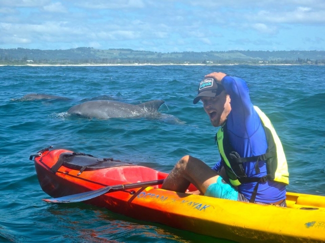 Dolphin Kayak Tour Byron Bay
