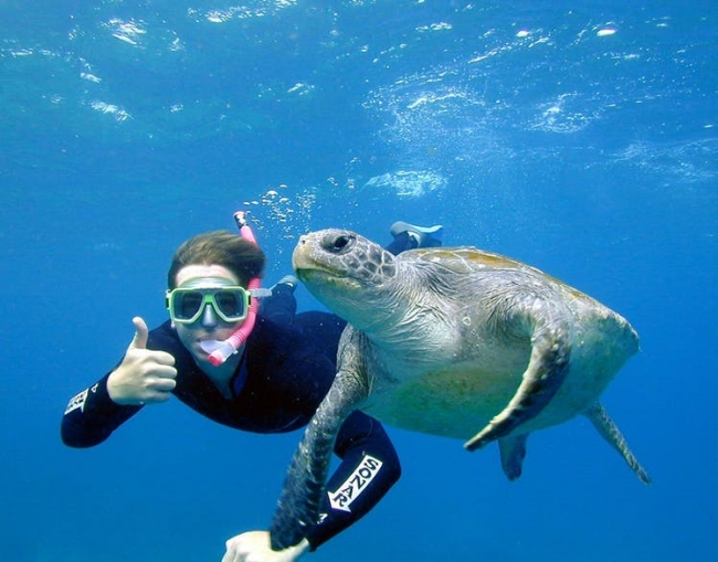 Snorkel Tour Byron Bay