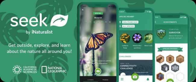 Byron Bay camping apps