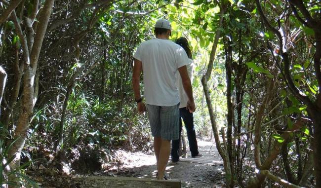 Three Sisters Walking Track