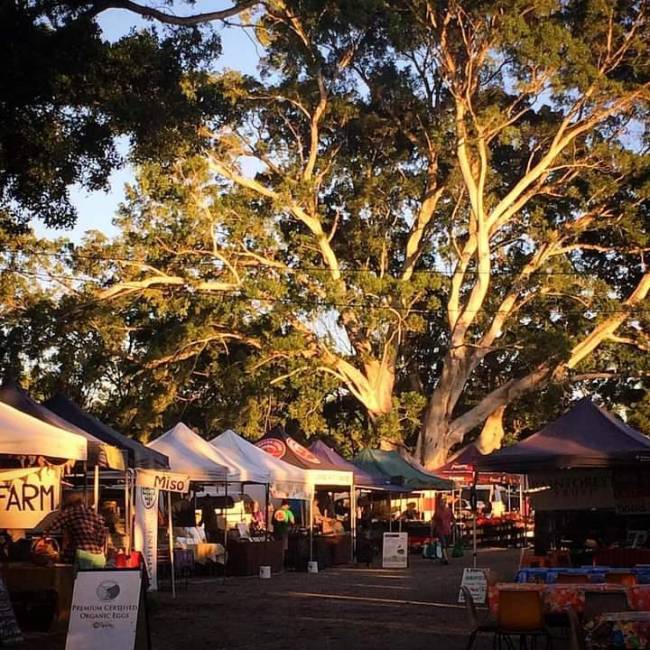 byron bay markets guide