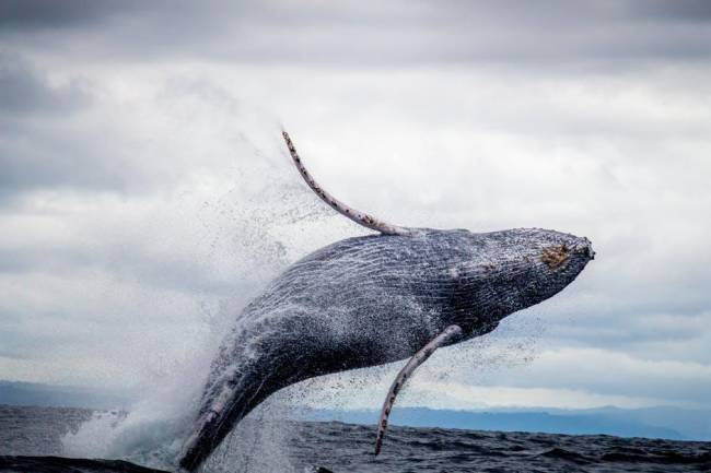 activities in byron bay