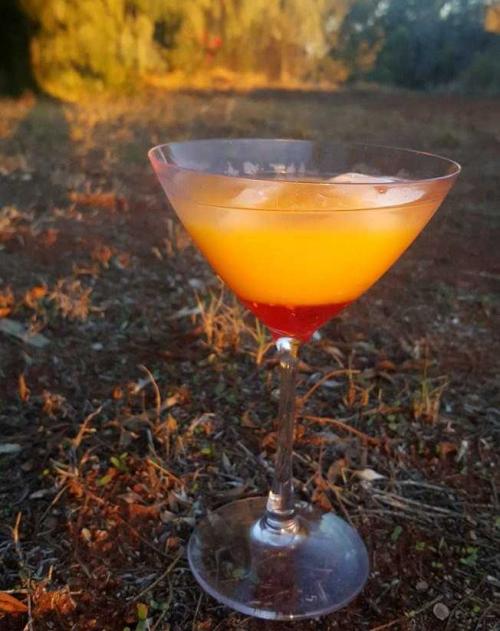 camping cocktails